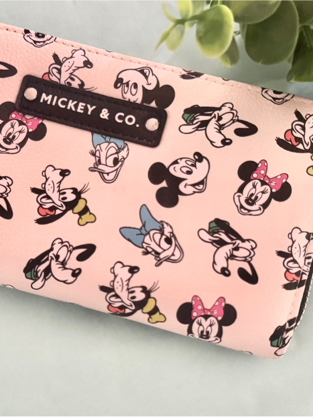 Disney Character Wallet